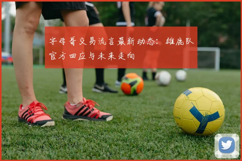 字母哥交易流言最新动态：雄鹿队官方回应与未来走向